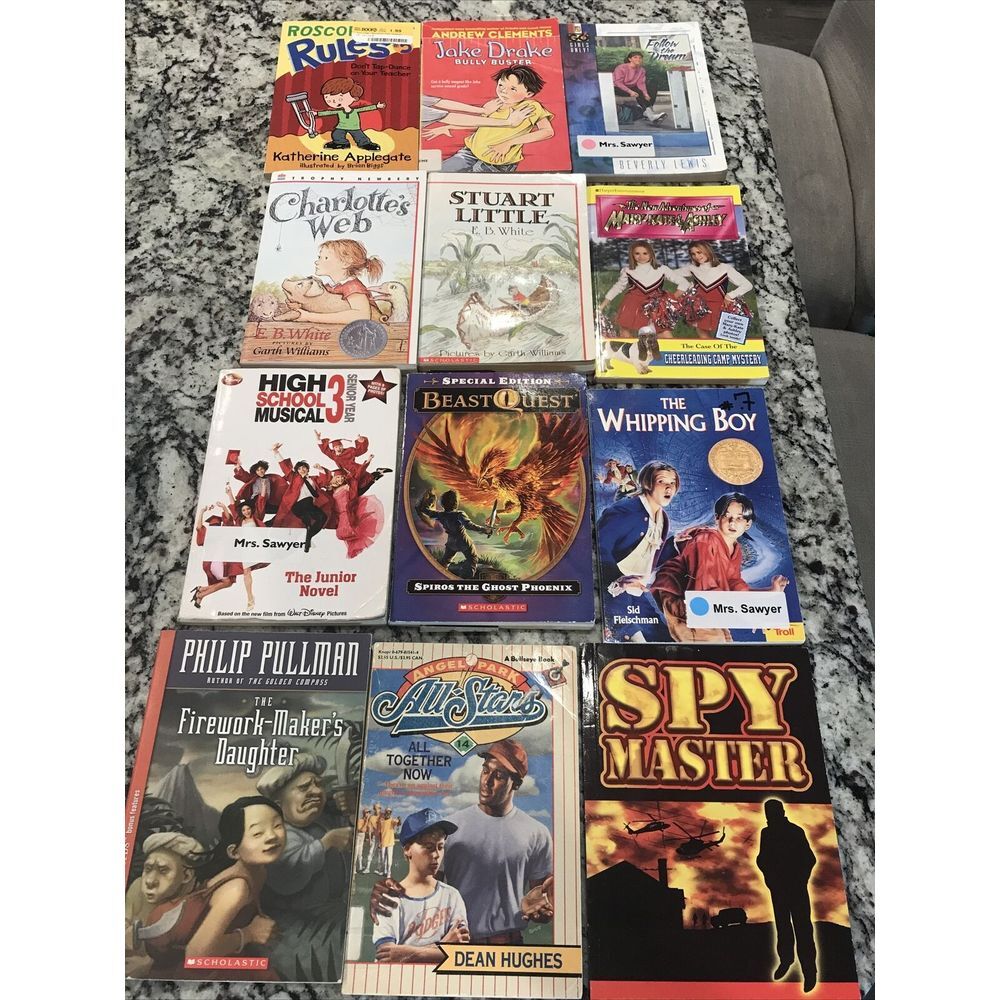 12 Kids Scholastic, Disney Books And Others. High School Musical 3 Charlotte Web